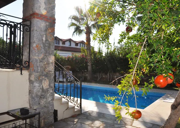 Villa Olive Ovacik Fethiye
